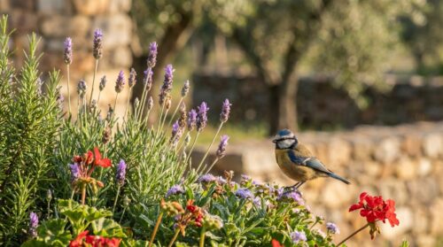 Você vai adorar esta dica que ajuda os pássaros e seus canteiros